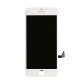 LCD Screen for iPhone 8G/SE2020 (SE2)/SE2022 (SE3) White (Best Aftermarket)
