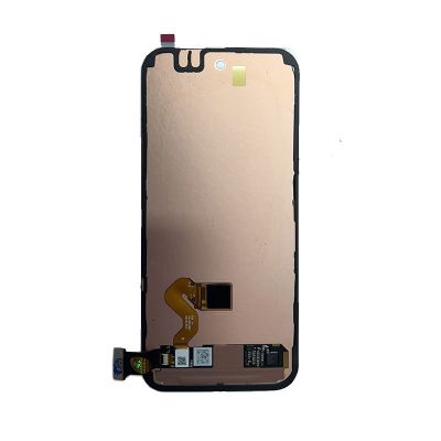 Google Pixel 9 OLED Screen (Factory Stock)