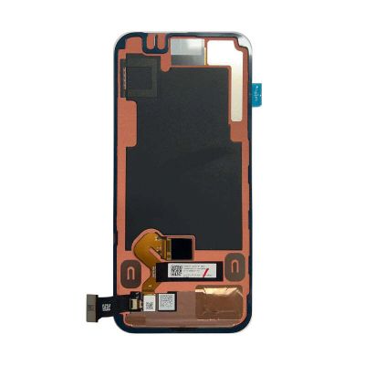 Google Pixel 9 OLED Screen (Service Pack)